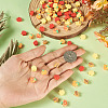 100Pcs Autumn Theme Handmade Polymer Clay Connector Charms PALLOY-TAC0251-6