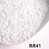 Opaque 8/0 Glass Seed Beads SEED-I013-3mm-RR41-1