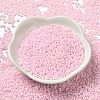 Baking Paint Glass Seed Beads SEED-P006-03A-09-2