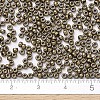 MIYUKI Round Rocailles Beads X-SEED-G007-RR0457-4