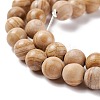 Natural Silver Line Jasper Beads Strands G-P451-02B-C-4