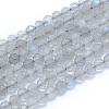 Natural Labradorite Beads Strands G-I279-E19-1