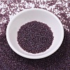 MIYUKI Delica Beads X-SEED-J020-DB0104-2