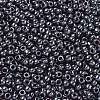 TOHO 6/0 Round Beads SEED-XTR06-0090-3