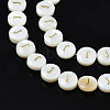 Natural Freshwater Shell Beads SHEL-S276-168J-3