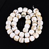 Natural Fire Crackle Agate Beads Strands G-Q606-94A-3
