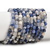 Natural Sodalite Round Bead Strands G-E334-4mm-08-3