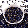 Glass Seed Beads SEED-A032-06G-2