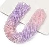 Transparent Painted Glass Beads Strands LS-DGLA-A034-T2mm-A05-1