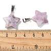 Natural Lepidolite Pendants G-B127-12P-07-3