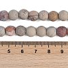 Natural Aqua Terra Jasper Beads Strands G-N0128-48F-8mm-6