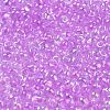 6/0 Inside Colours Fringe Glass Seed Beads X1-SEED-A034-03B-3
