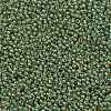 TOHO Round Seed Beads X-SEED-TR11-0380-2