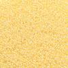 TOHO Round Seed Beads SEED-JPTR11-0902-2