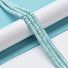 Natural Howlite Beads Strands G-E604-A04-C-2