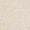 11/0 Grade A Round Glass Seed Beads SEED-N001-E-436-2