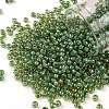 TOHO Round Seed Beads X-SEED-TR08-0380-1