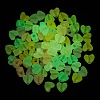 Luminous Transparent Acrylic Beads X-LACR-Q001-01-1