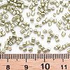 Glass Bugle Beads SEED-S032-12A-1119-4