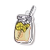 Transparent Printed Acrylic Pendants LS-TACR-G042-01D-1