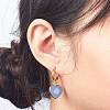 Natural Gemstone Heart Dangle Earrings EJEW-JE05068-5