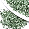 11/0 Grade A Glass Seed Beads SEED-S030-1217-1