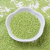 MIYUKI Delica Beads SEED-X0054-DB0169-2