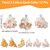 24Pcs 2 Colors Plastic Pendants KY-SC0002-66-2