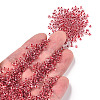 8/0 Transparent Glass Seed Beads SEED-F003-03B-03-5