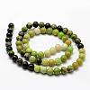 Natural Serpentine Beads Strands G-N0170-002-10mm-2