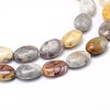 Natural Crazy Lace Agate Flat Oval Bead Strands G-M206-18-3
