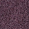 MIYUKI Round Rocailles Beads SEED-G007-RR2448-2