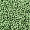 TOHO Round Seed Beads SEED-XTR08-0560F-2