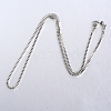 Tarnish Resistant 304 Stainless Steel Box Chain Necklaces STAS-O053-27P-2