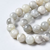 Natural White Moonstone Beads Strands G-N328-51C-01-3
