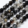 Natural Agate Beads Strands G-K184-04C-1