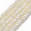 Natural Cultured Freshwater Pearl Beads Strands PEAR-A005-04C-01-1