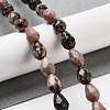 Natural Rhodonite Beads Strands G-P520-B25-01-2