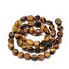 Natural Tiger Eye Beads Strands G-R445-8x10-05-2