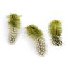 Chicken Feather Costume Accessories FIND-Q048-10-2