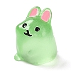 Rabbit Luminous Resin Display Decorations DJEW-F023-B04-1