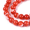 Natural Trochus Shell Mother of Pearl Shell Beads Strands SSHEL-T012-06-3