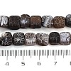 Natural Weathered Agate Beads Strands G-NH0038-01C-5