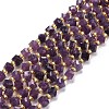 Natural Lepidolite Beads Strands G-P463-09-1