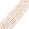 Natural Cultured Freshwater Pearl Beads Strands PEAR-I007-02I-01-2