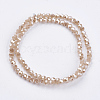 Electroplate Glass Beads Strands EGLA-F120-PL-B01-2