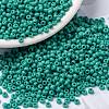 MIYUKI Round Rocailles Beads SEED-JP0009-RR0412-1