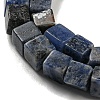 Natural Sodalite Beads Strands G-C084-E06-02-4