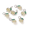 Brass Micro Pave Cubic Zirconia Charms ZIRC-G169-03P-3