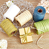 BENECREAT 1 Roll Raffia Paper Cords for DIY Jewelry Making OCOR-BC0001-54B-6